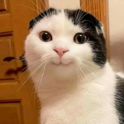 Detected