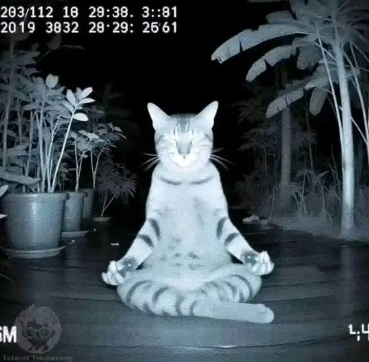 Granny: Multiplayer CONTROL GRANNY AND GRANDPA