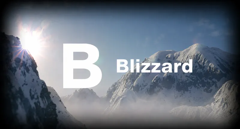 Blizzard Admin